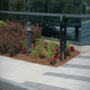 commercial landscaping-97059