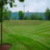 commercial landscaping-970532