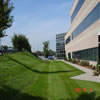 commercial landscaping-970547