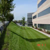 commercial landscaping-970549