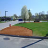 commercial landscaping-970560