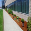 commercial landscaping-970562