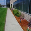 commercial landscaping-970563