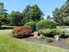 commercial landscaping-Bridge-North-Andover12