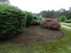 commercial landscaping-Bridge-North-Andover9