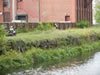landscaping-Lawrence-Canals0