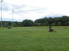 landscaping-Little-league-baseball-fields5